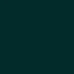 STAHLS' SportsFilm - Dunkelgr&uuml;n - Dark green - 410