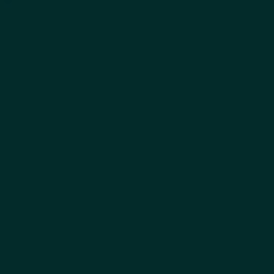 STAHLS' CAD-CUT SportsFilm - Dunkelgrün - Dark green - 410 STAHLS' SportsFilm - Dunkelgrün - Dark green - 410