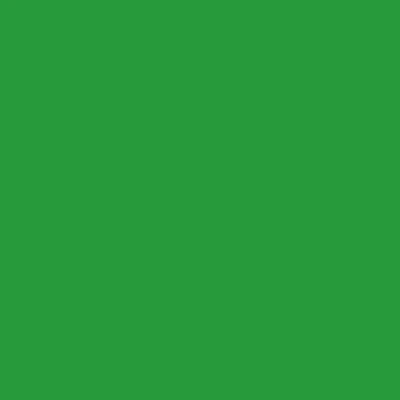 STAHLS' CAD-CUT SportsFilm &ndash; Hellgr&uuml;n &ndash; Light Green &ndash; 422