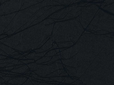 Cocoon Schwarz - Cocoon Black - ORACAL 975CO-070