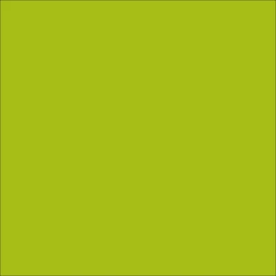 STAHLS' Premium Plus – Apfelgrün – Apple Green – 421 STAHLS' Premium Plus – Apfelgrün – Apple Green – 421