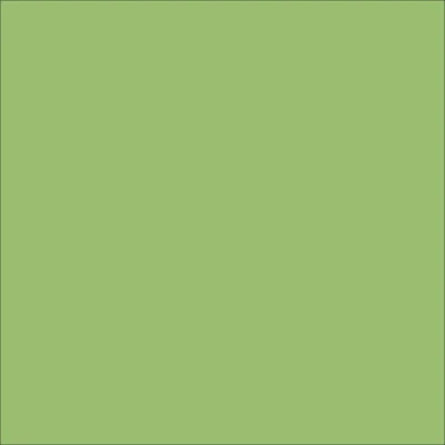 STAHLS' Premium Plus – Pastellgrün – Pastel Green – 420 STAHLS' CAD-CUT Premium Plus – Pastellgrün – Pastel Green – 420
