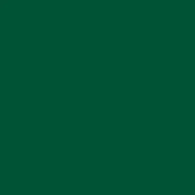 STAHLS' Flock – Grün – Green – 400 STAHLS' CAD-CUT Flock – Grün – Green – 400