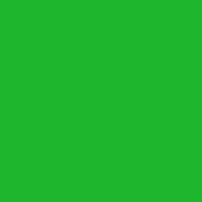 STAHLS' Flock Fluo – Grün – Neon Green – 401 STAHLS' CAD-CUT Flock Fluo – Grün – Neon Green – 401