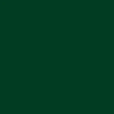 STAHLS' CAD-CUT Soft Metallic Textilfolie – Kellygrün – Kelly Green – 5400 STAHLS' CAD-CUT Soft Metallic Textilfolie – Kellygrün – Kelly Green – 5400
